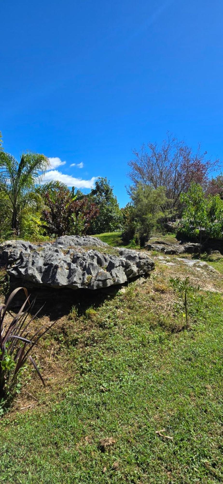 Motel The Rocks Takaka
